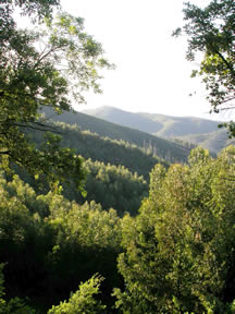 Serra de Monchique - view